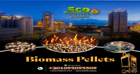 الوقود الحيوي